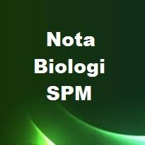 Stylight.com has been visited by 100k+ users in the past month Nota Kreatif Biologi Tingkatan 5 Bab Bab 1 2 3 4 5 6 Bumi Gemilang