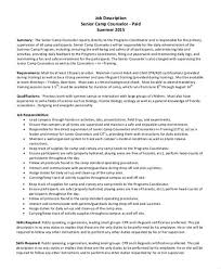camp counselor resume drone fest