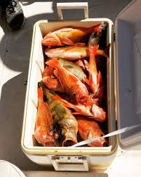 Maybe you would like to learn more about one of these? The Coronado Islands In Mexico Is A Great Winter Fishing Spot