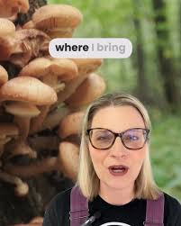 You oughta come take a look at this!...