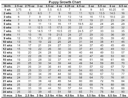 puppy weight chart for yorkies puppy puppy growth chart