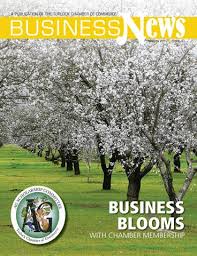 Business News 30 by 209 Multimedia Publications