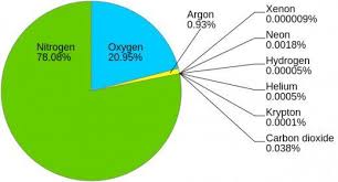 What Elements Make Up The Earth S Atmosphere Earth S Atmosphere Earth Layers Earth Atmosphere