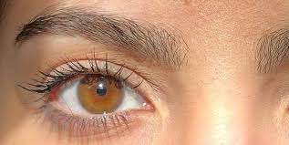 I love him very much and this song means a lot to me. Amber Eyes Science Myths And Personality Traits Of Amber Eyed People In 2021 Aesthetic Eyes Amber Eyes Honey Eyes Color