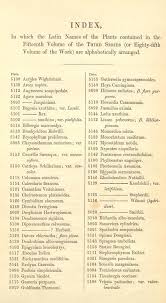 Image result for Dissotis irvingiana