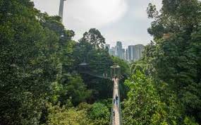 Ni hutan simpan dan tanah kajian upm. Hutan Lindung Bukit Nanas Kuala Lumpur Expedia Co Id