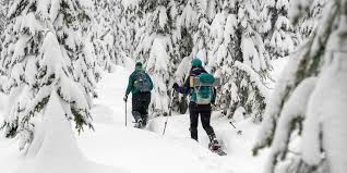 Best places to snowshoe near me. Snowshoeing A Beginner S Guide Rei Co Op