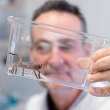 People's choice voting is now open for the Universities Australia Shaping… 