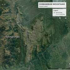 Image result for Thesium chimanimaniense