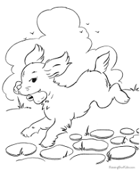 There's something for everyone from beginners to the advanced. Dog Coloring Pages Free And Printable