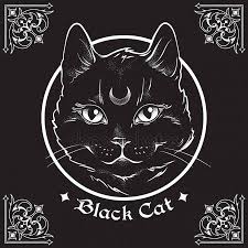 Hand Drawn Black Cat With Moon On His Forehead In Frame Over Black Background And Ornate Gothic Design Elements Wicca Black Cat Black Cat Tattoos Illustration