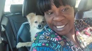 Missing from mt healthy Ohio 45231 her name is Rosie she is a Pomeranian  about 9 years old missing from haverknoll dr in between John grey and  Kemper .. went missing yesterday 4/6 at 330