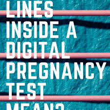 What Does The Inside Of A Clearblue Digital Test Look Like Wehavekids