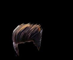 Hair Png Hair Png Photoshop Backgrounds Free Photoshop Backgrounds