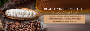 The stimulating action of theobromine is doubtless far inferior to that of caffeine. Cocoa Butter Benefits Uses For Ultimate Skin Care Personal Care