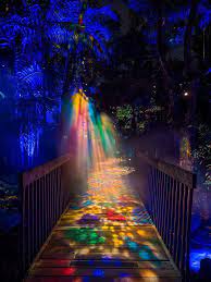 The Nightgarden Light Show Fairchild Tropical Botanic Garden Fairchild Tropical Botanic Garden Travel Spot Florida Travel