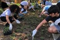 Annual Spring Greening Day Scheduled for April 23