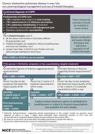 Image result for Medications in COPD Management
