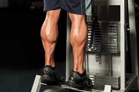 Le muscle gastrocnémien et le muscle soléaire. Musculation Des Mollets 3 Programmes A Suivre Megagear