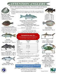 Nj Saltwater Fishing Information Nj Fishing Forums Nj