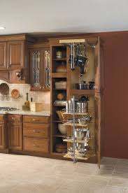 Kitchen Cabinet Design Ideas Come Best When You Have Consulted All The Possible Design Avenues Kitchen Cabinet Design Kitchen Design Home Kitchens