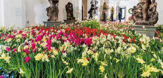 Angelegt und im laufe seiner geschichte mehrfach erweitert. Florale Pracht Im Grossen Garten Top Magazin Dresden