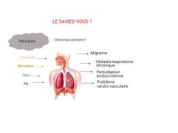Nature, classes of compounds and environmental effects! Air Pollution Volatile Organic Compounds Vocs What Is The Real Issue Salveco La Chimie Inspiree De L Avenir