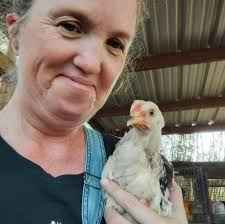 Downed Fence Puts Horses at Risk