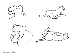The zoo animals book is one of five free bonus books in the how to draw animal collection. Artstation Singapore Zoo Exercise Wilson Toh