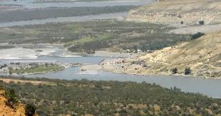 Рейтер: Таджикистан ведёт переговоры с Россией и ОДКБ после нападений на  китайских рабочих на границе