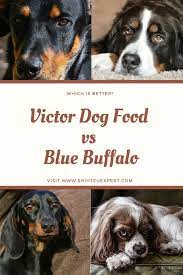 Victor Dog Food Vs Blue Buffalo Your Complete Guide In 2021 Best Dog Food Blue Buffalo Dog Food Recipes