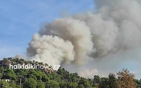 Jun 07, 2021 · χαλκιδικη: Pyrkagia Se Dasikh Perioxh Sth Si8wnia Xalkidikhs Fwto Vid