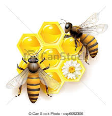 Rayons miel, abeilles, deux. Abeilles, isolé, rayons miel, deux, blanc.
