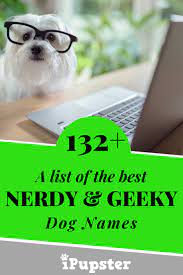 132 Nerdy Geeky Dog Names Meanings Dog Names Pet Names For Dogs Female Dog Names