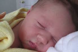 State of the University 2007