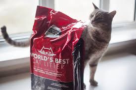 Check spelling or type a new query. World S Best Cat Litter Whole Kernel Corn Kitty Litter Review