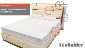 How To Get Rid Of Bed Bugs By Using Ecoraider Youtube