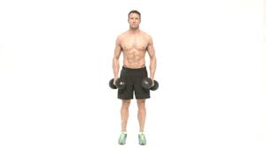 Then slowly extend your arms in front of your torso. How To Get The V Shape Shoulder And Back Muscles