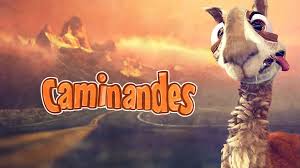 Caminandes Llama Drama Short Movie Animated Movies Llama Drama Animation
