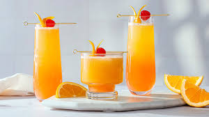 Image result for Mimosa