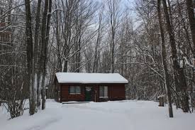 The actual menu of the the cabin pizzeria. Unique Cabins For Rent Near Mt Pleasant Michigan