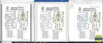 A 13 question printable skeletal system crossword with answer key. Skeletal System Crossword With Diagram Printable Distance Learning Options