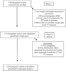 Study Flowchart Doi 10 1371 Journal Pone 0054704 G001