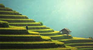 Vietnam is a land of noticeable landscapes that radius is from the forested mountains, lush terraces of the rice and the north of its attractive valleys, the central highlands and in the south of its. Vietnam Tips And Tricks 26 Key Things To Know