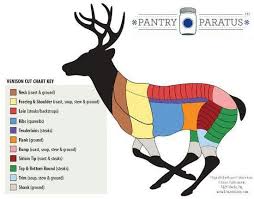 Deer Meat Diagram Get Rid Of Wiring Diagram Problem