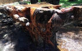 Teak root dining tables made from tree roots our stunning and unique teak root dining tables are carefully dug up, sanded and finished with a clear lacquer coat. Tree Root Tables Dining Coffee African Furniture Decor Phases Africa