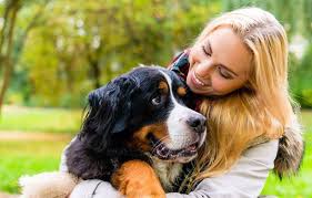 Wichtig zu wissen ist, dass dieses verhalten gründe hat. Wann Ihr Hund Kuscheln Geniesst Fehler Beim Streicheln Agila