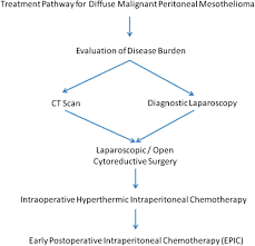 Furthermore, patients diagnosed with mesothelioma peritoreal cancer are usually informed to live for a year or a few more. Diffuse Malignant Peritoneal Mesothelioma An Update On Treatment Cancer Treatment Reviews