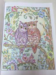 Coloringbook & art supplies on instagram: Pin On Colouring For Relaxation Owls