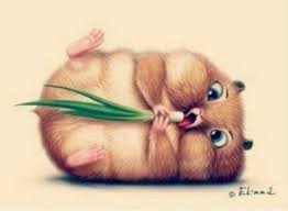 Cute Hamster Drawing Google Search Adorabledrawings Animal Drawings Cute Animals Cute Animal Drawings
